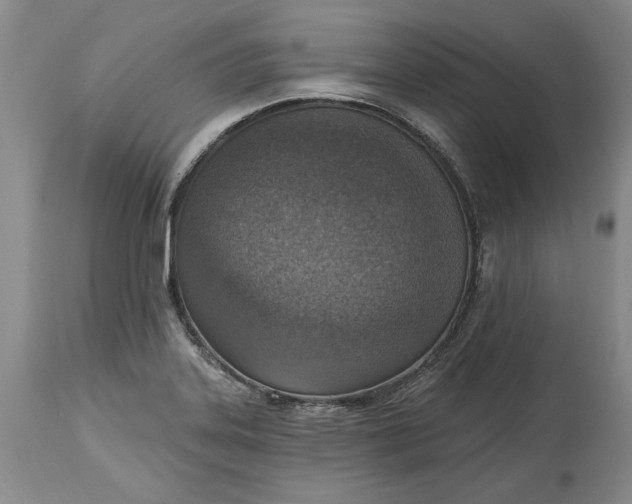 X0000115421323200911171414