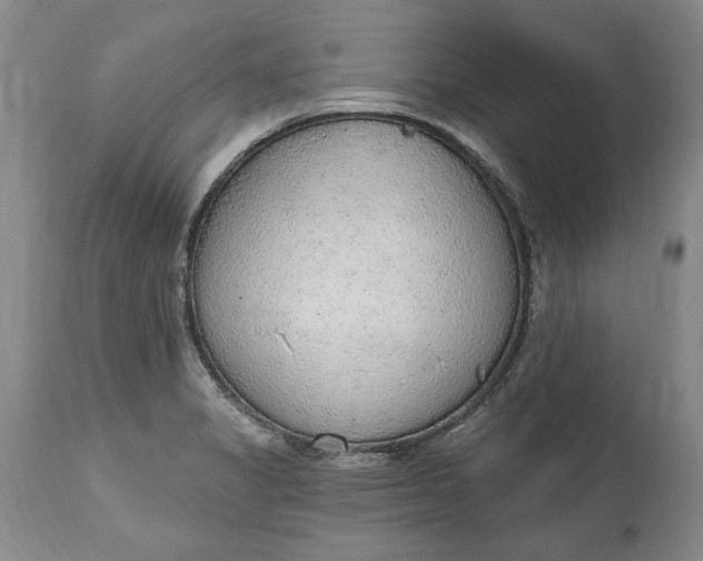 X0000115421325200911171414