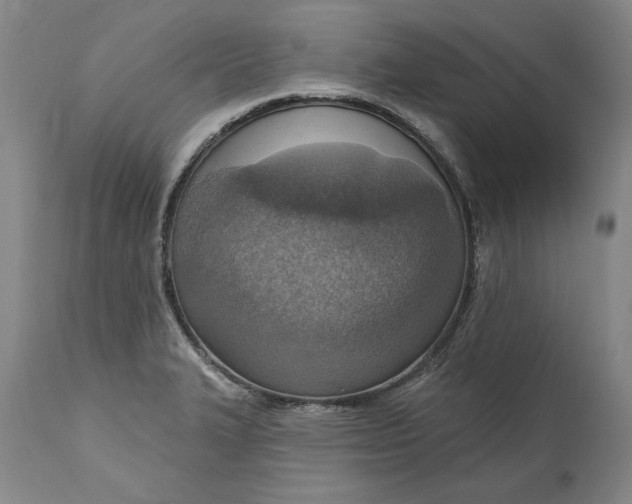 X0000115421327200911171414