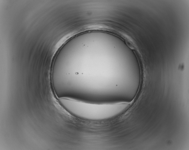 X0000115421330200911171414