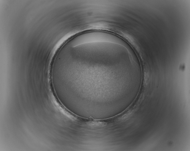 X0000115421331200911171414