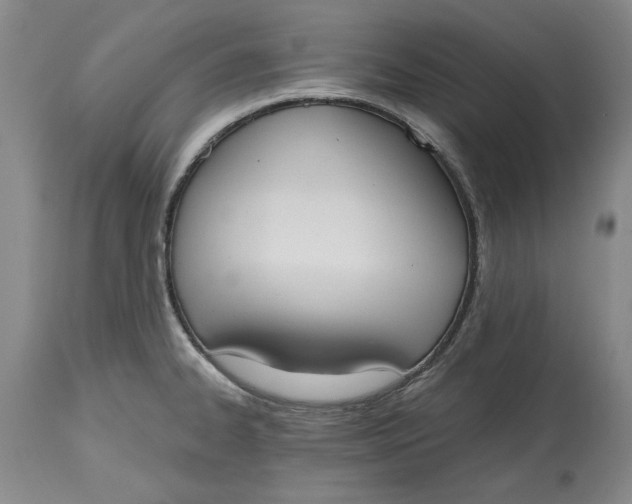 X0000115421334200911171414