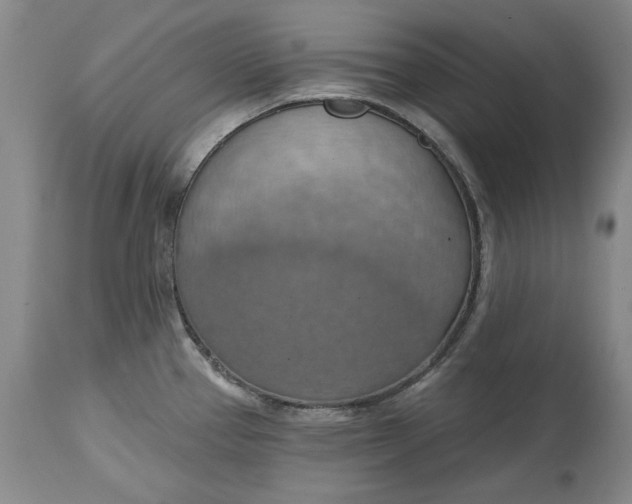 X0000115421337200911171414