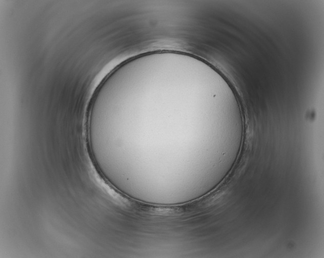 X0000115421339200911171414