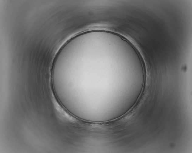 X0000115421341200911171414