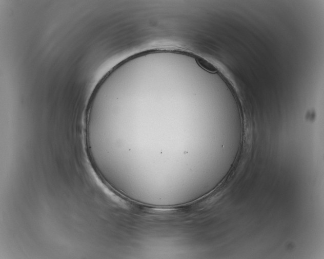 X0000115421343200911171414