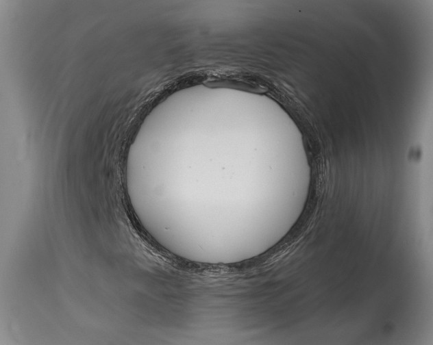 X0000115421345200911171413