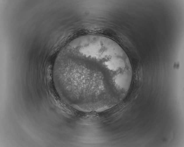 X0000115421346200911171413
