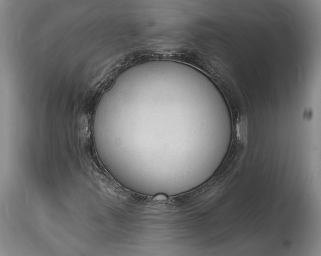 X0000115421347200911171413