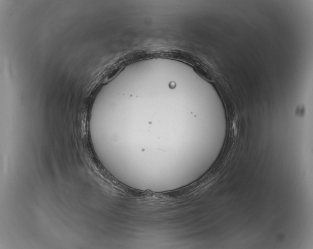 X0000115421348200911171413