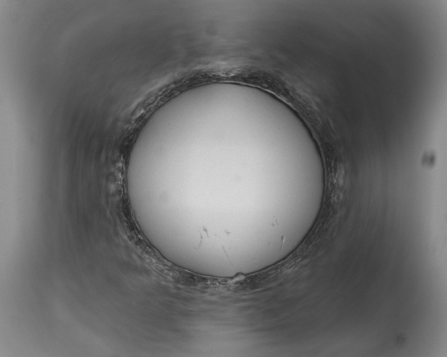 X0000115421349200911171413