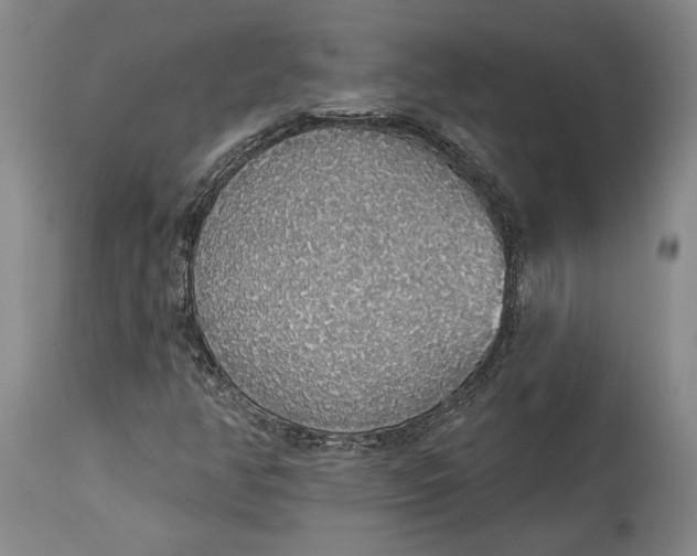 X0000115421350200911171413