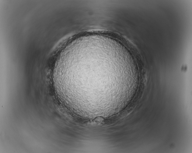 X0000115421351200911171413