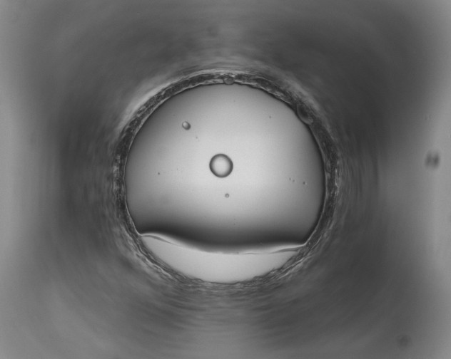 X0000115421352200911171413
