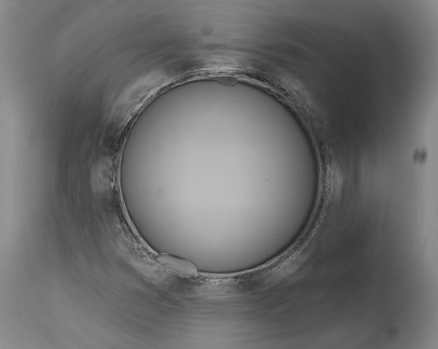 X0000115421353200911171413