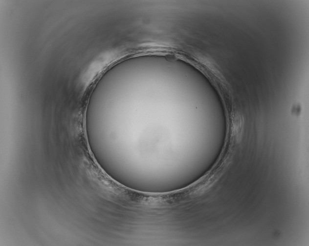 X0000115421357200911171413