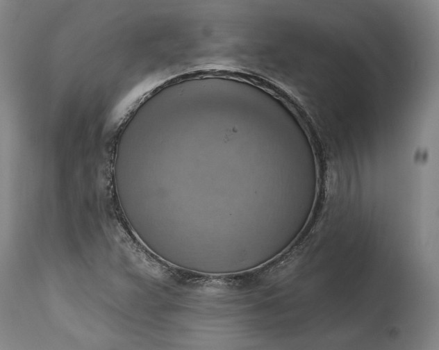 X0000115421359200911171413