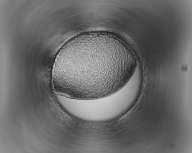 X0000115421361200911171413