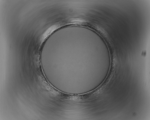 X0000115421362200911171413