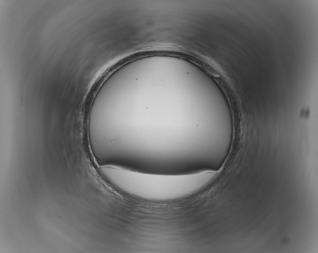 X0000115421364200911171413