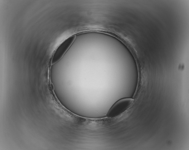 X0000115421365200911171413