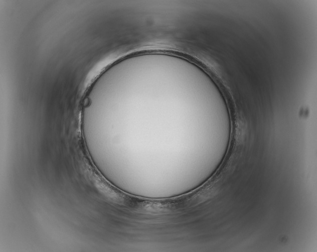 X0000115421366200911171413