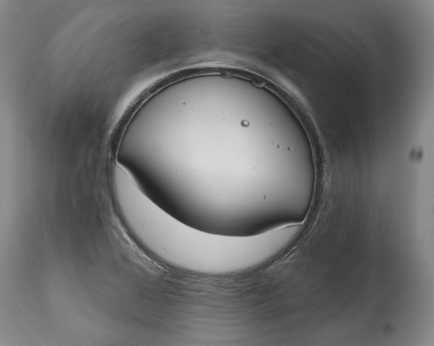 X0000115421368200911171413