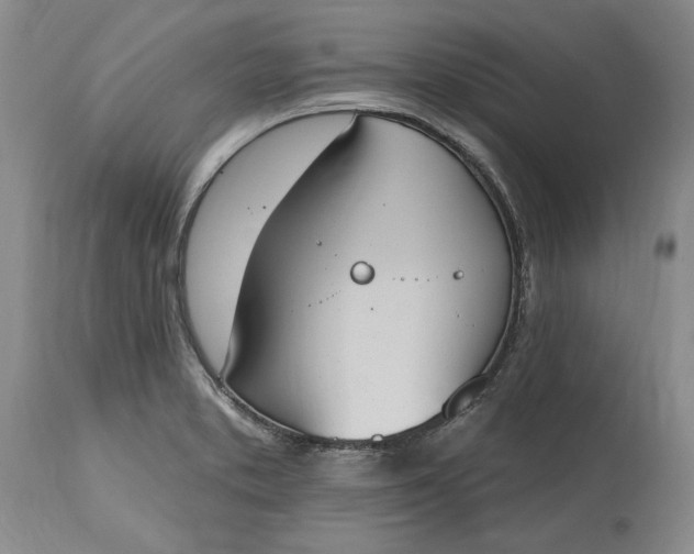 X0000115421373200911171413