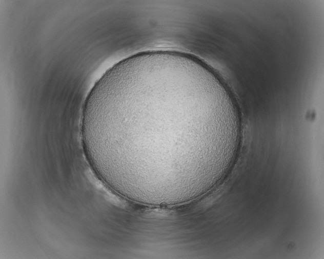 X0000115421374200911171413