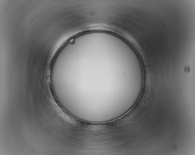 X0000115421376200911171413