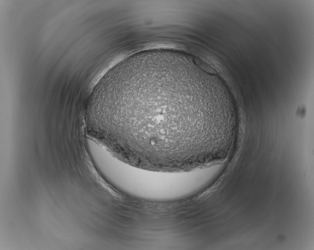 X0000115421377200911171413