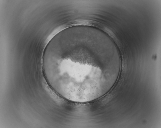 X0000115421378200911171413