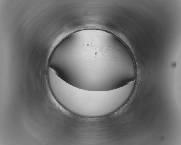 X0000115421381200911171413