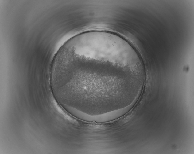 X0000115421382200911171413