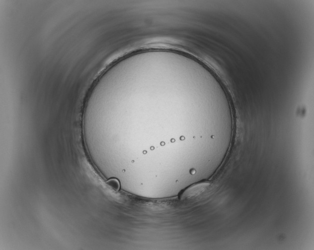X0000115421384200911171413
