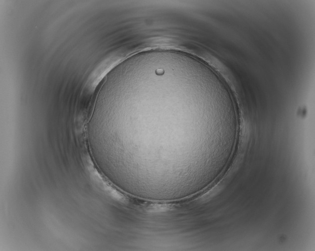 X0000115421385200911171413