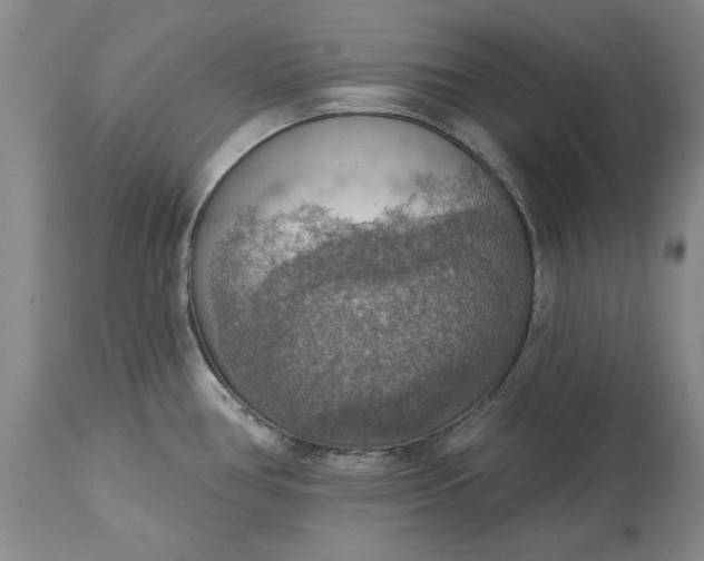 X0000115421386200911171413