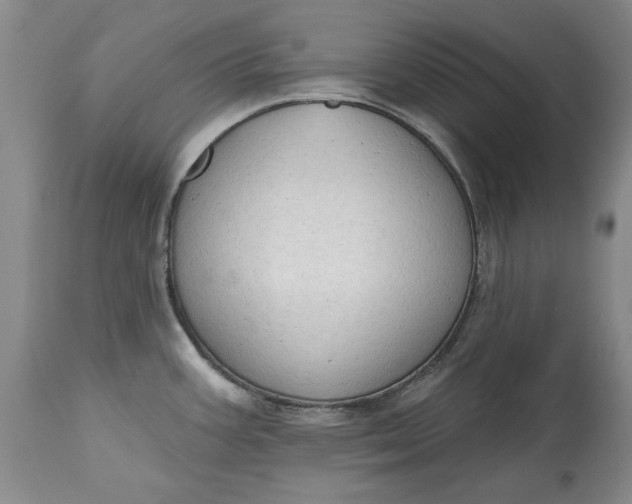 X0000115421387200911171413