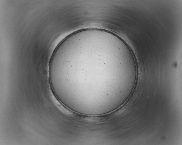 X0000115421388200911171413