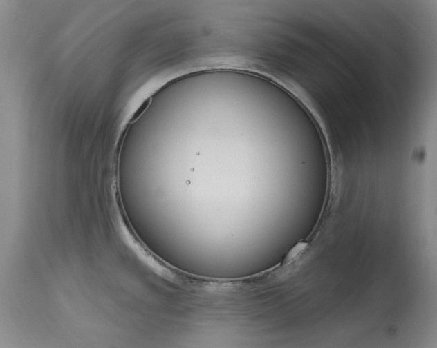 X0000115421389200911171413