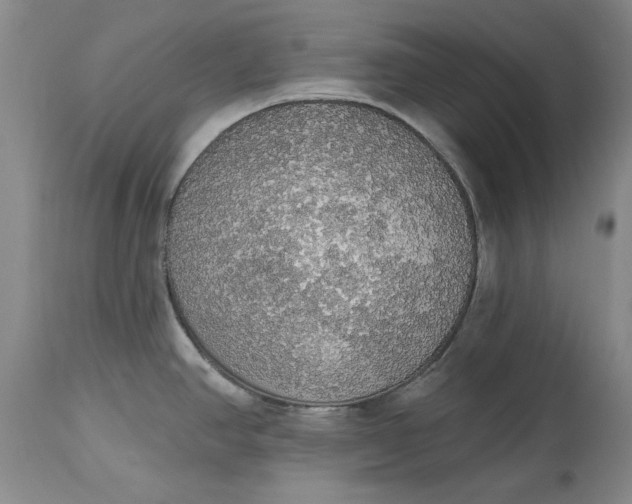 X0000115421390200911171413