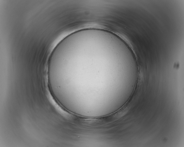 X0000115421391200911171413