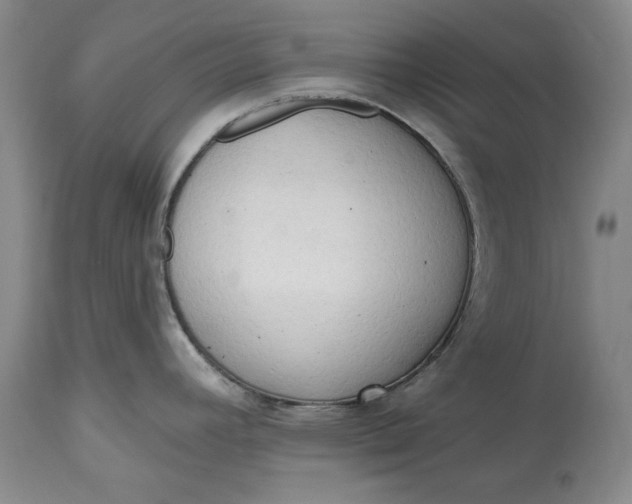 X0000115421392200911171413