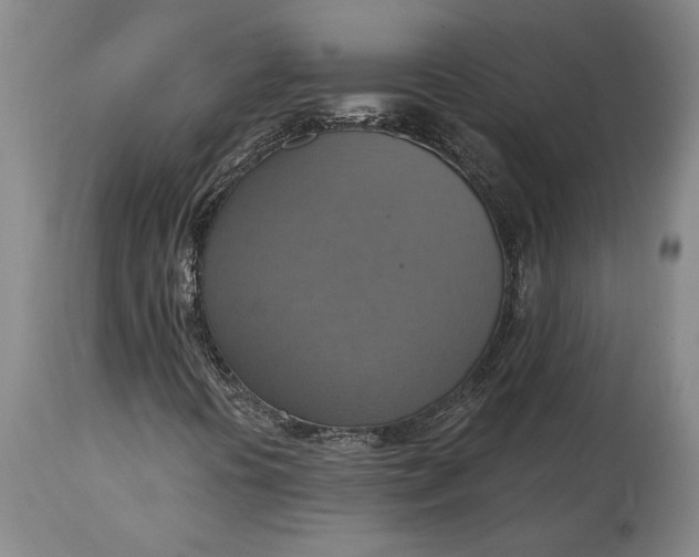 X0000115421394200911171412