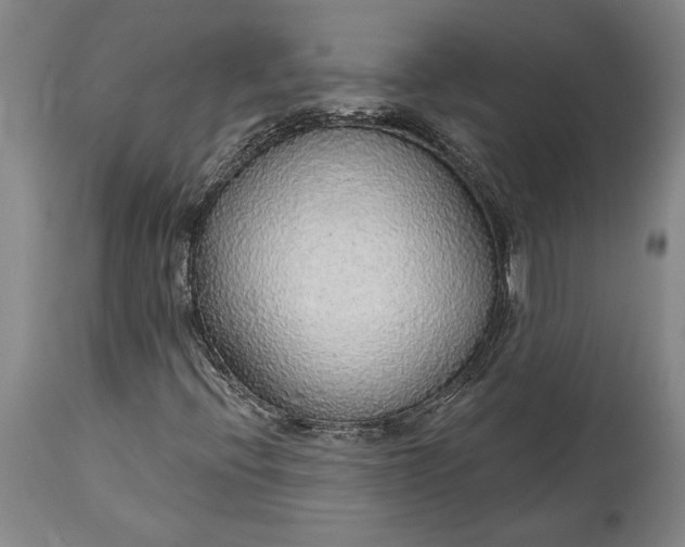 X0000115421396200911171412
