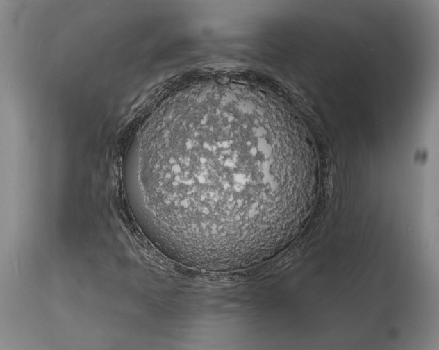 X0000115421397200911171412