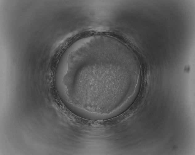 X0000115421398200911171412