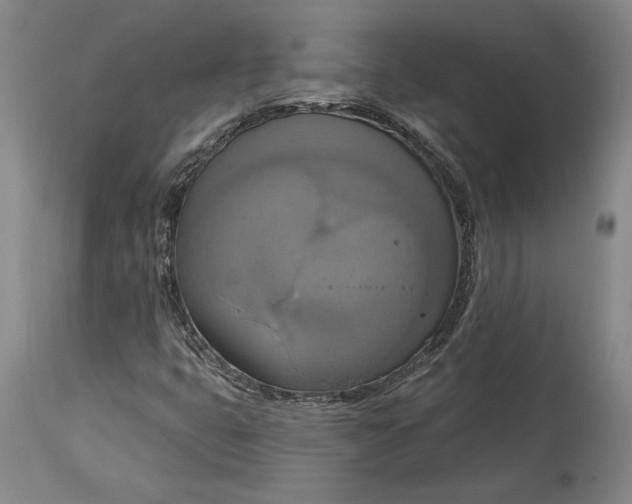 X0000115421399200911171412