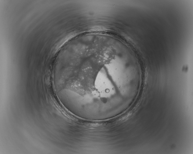 X0000115421401200911171412