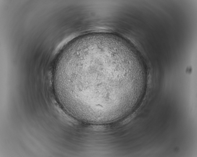 X0000115421402200911171412